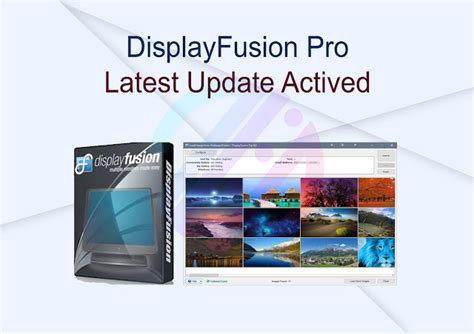 Independent download of Portable Displayfusion Pro
